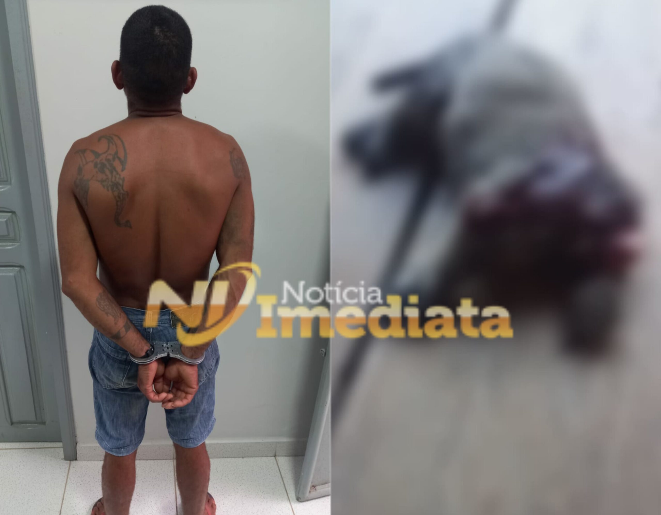 No Acre, após discutir com a esposa, homem se vinga arrancando a cabeça de cachorrinha