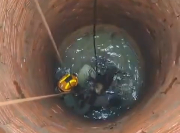 Cachorro cai em poço e é resgatado por equipe do Corpo de Bombeiros, em Rio Branco