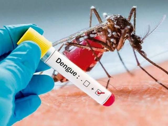 Acre notificou 367 casos de dengue somente na primeira semana de janeiro