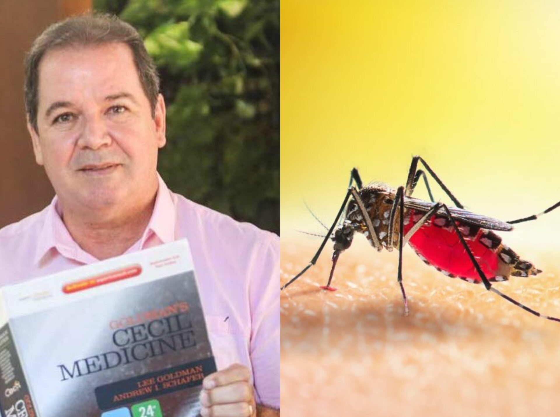 Tião Viana pede que população se vacine contra à dengue e diz que mais de mil já morreram com a doença