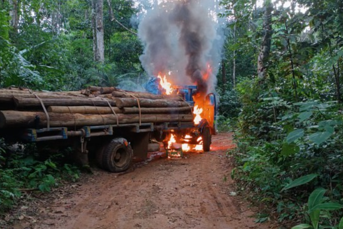 Operação da PF em reservas indígenas gera prejuízo de R$ 1 milhão a madeireiros e garimpeiros