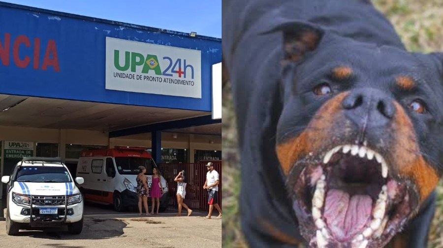 Criança de 6 anos morre após ser atacada violentamente por cachorro Rottweiler, em Rio Branco