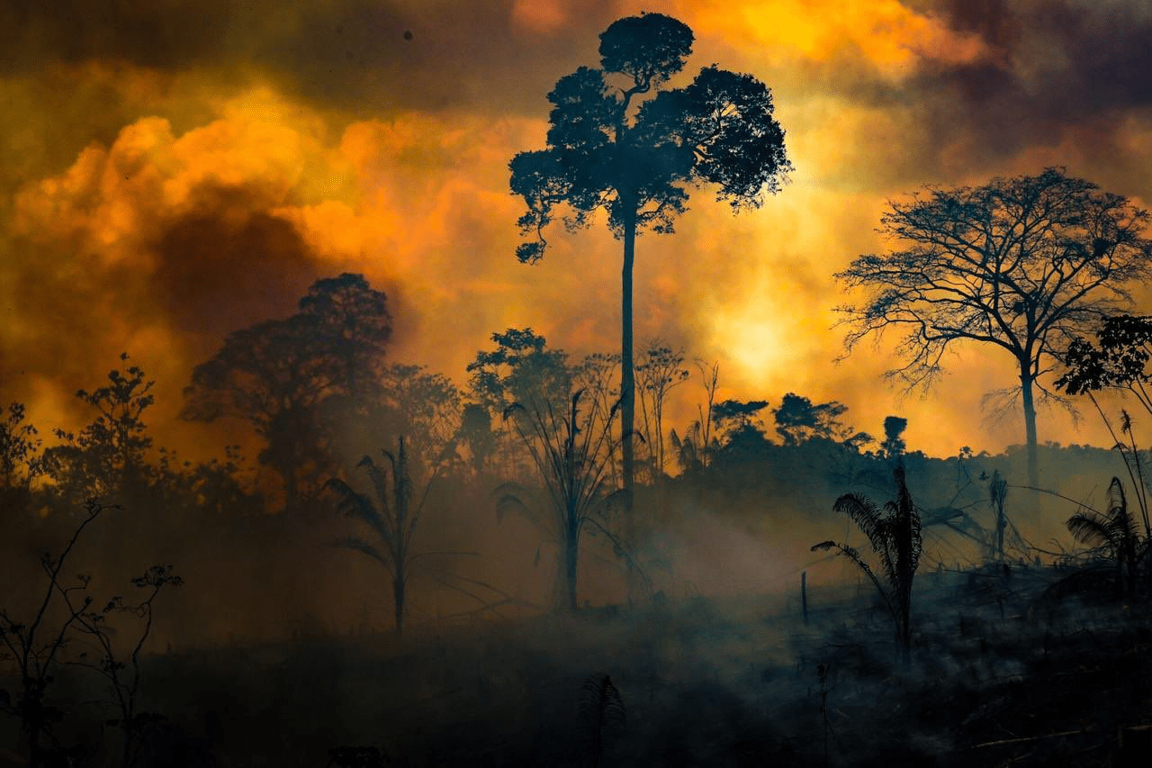 No Acre, governo lança operação ‘Protetor dos Biomas’, que visa combater queimadas e desmatamento