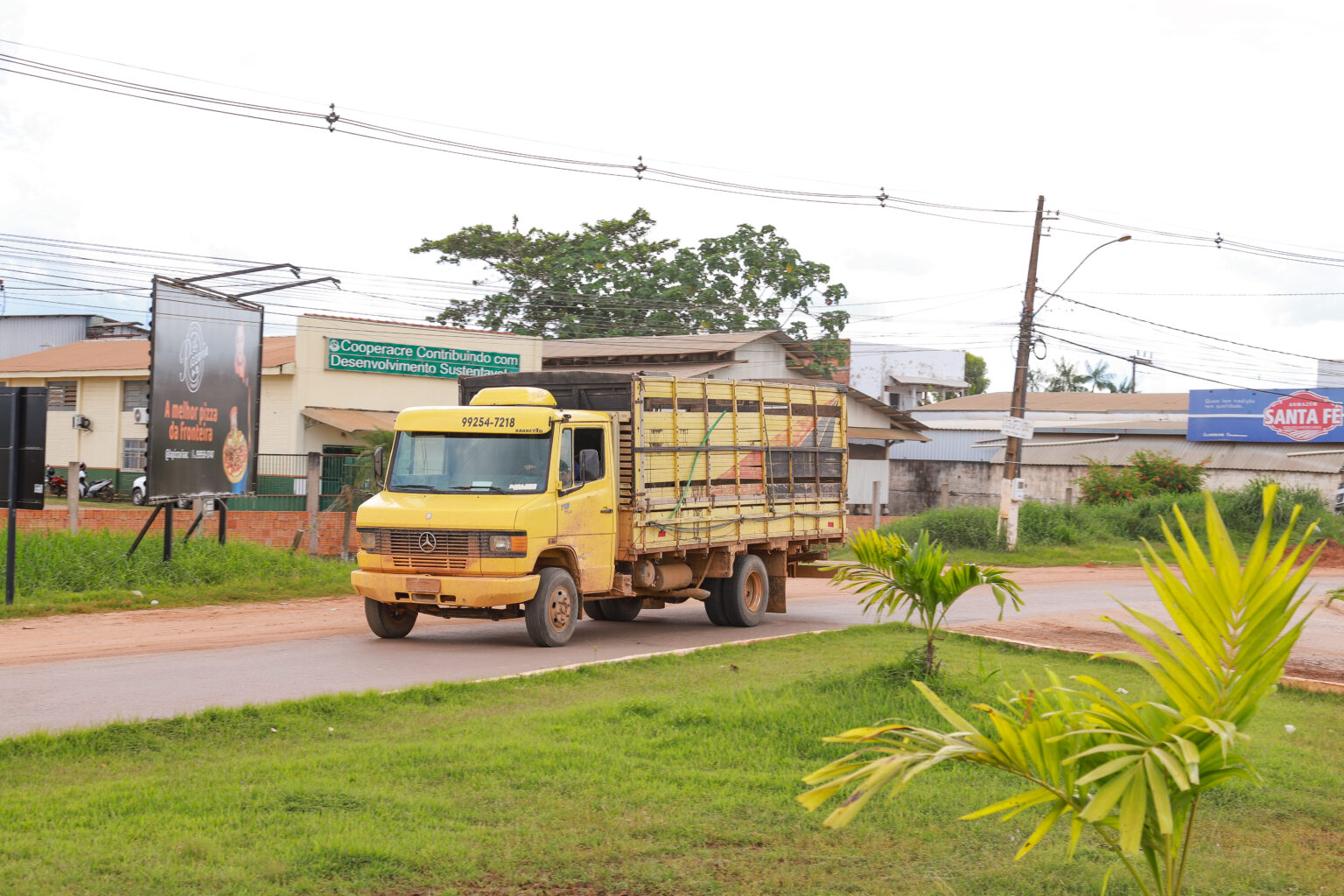 Prazo para exame toxicológico obrigatório de categorias C, D e E se encerra no próximo dia 30