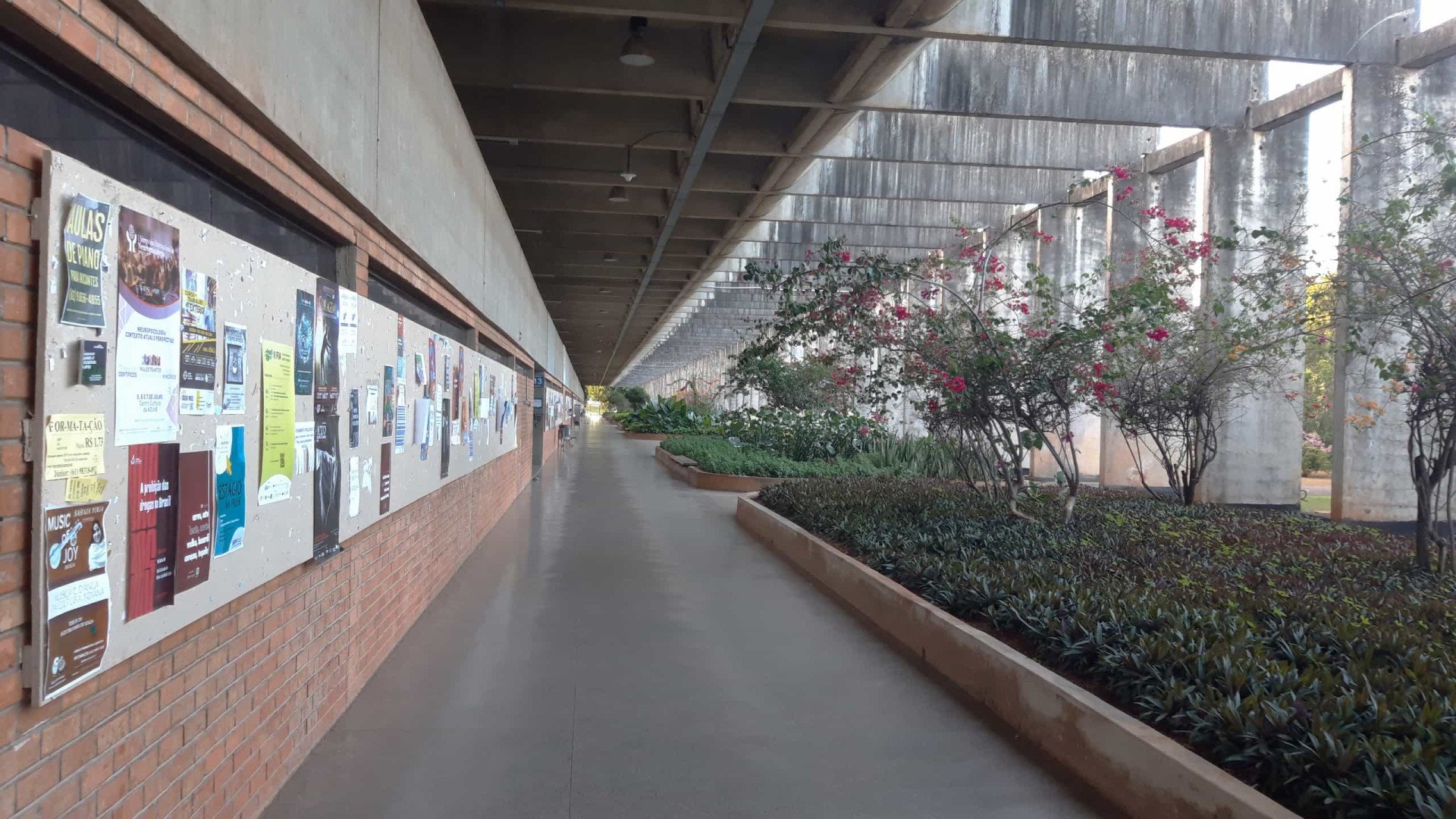 Professores anunciam greve em universidades e institutos federais a partir de segunda 