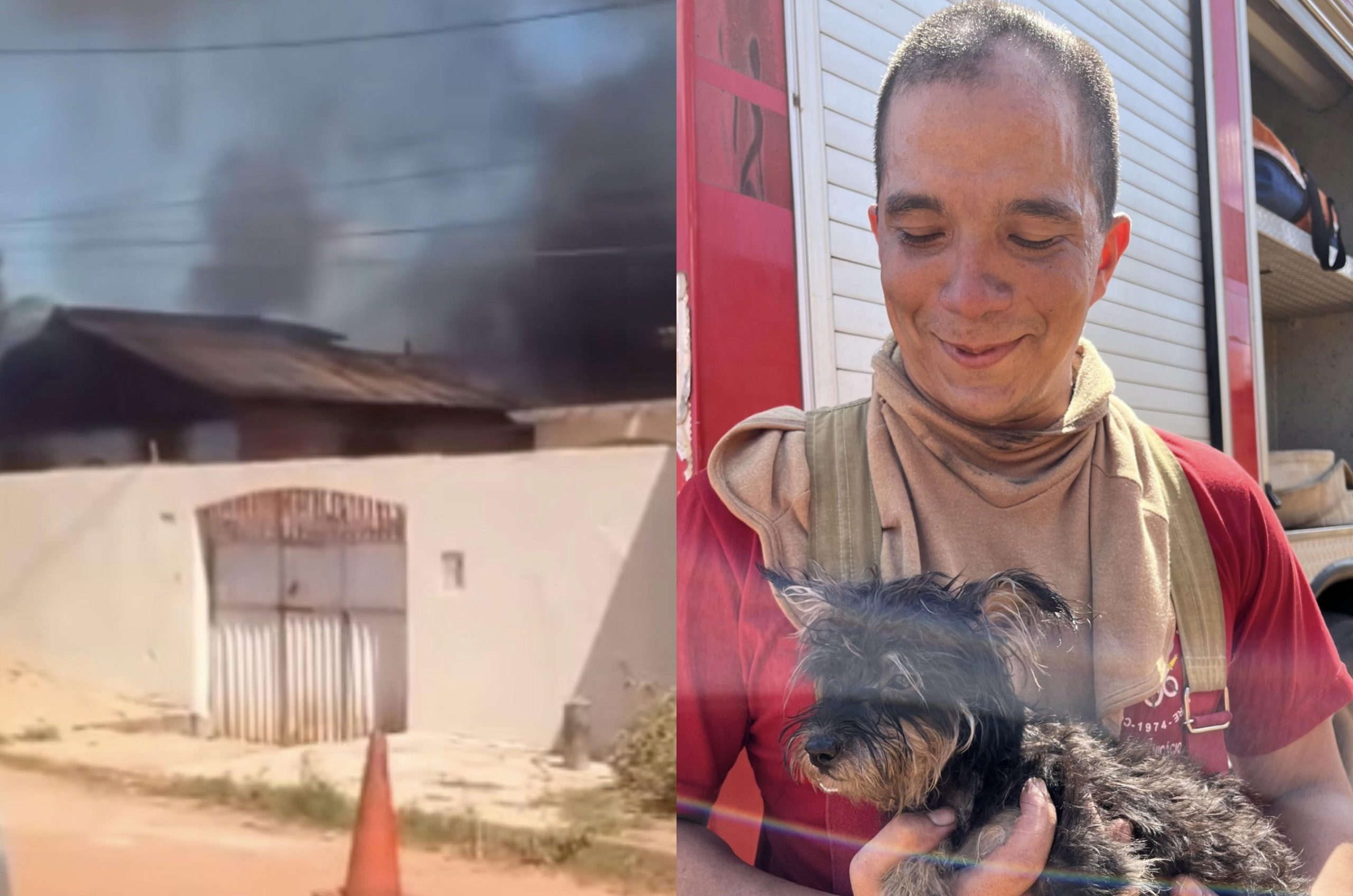 Cadelinha é resgatada por Bombeiro em meio as chamas que destruíram casa, em Rio Branco