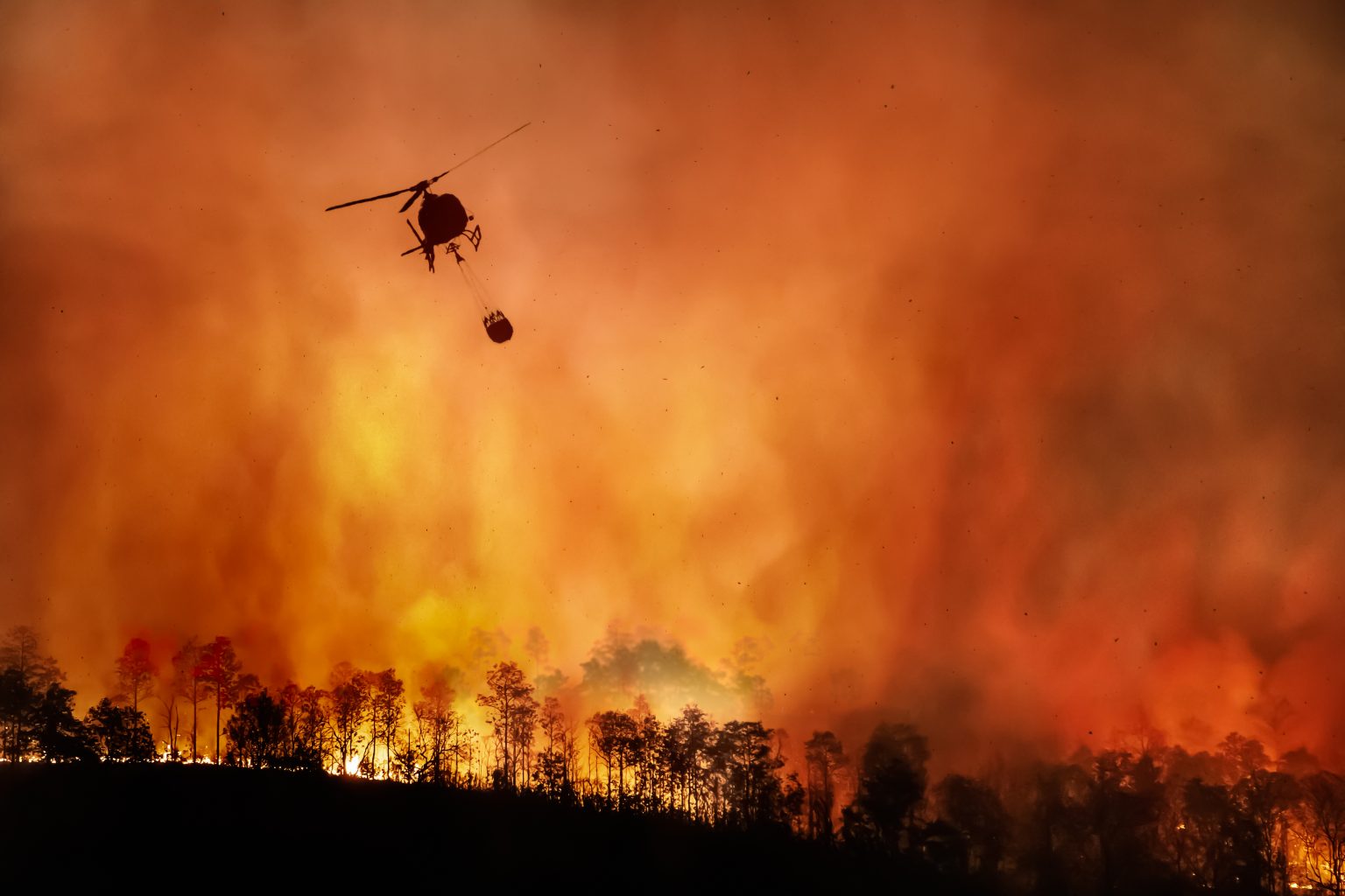 Ações de combate ao desmatamento na Amazônia terão R$ 318 milhões