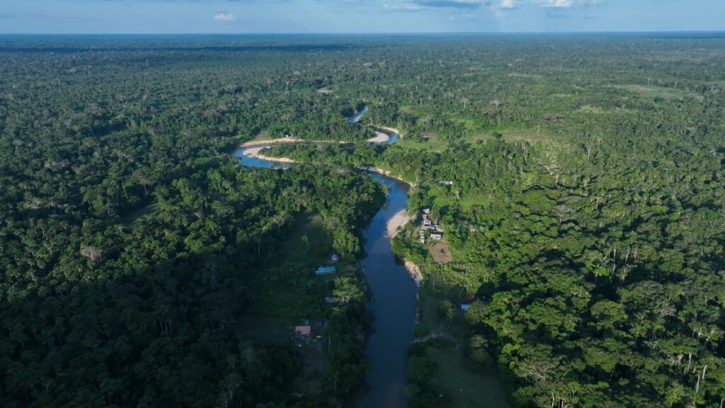 Meio Ambiente: governo celebra avanços e aborda estratégias para um Acre cada vez mais verde e resiliente