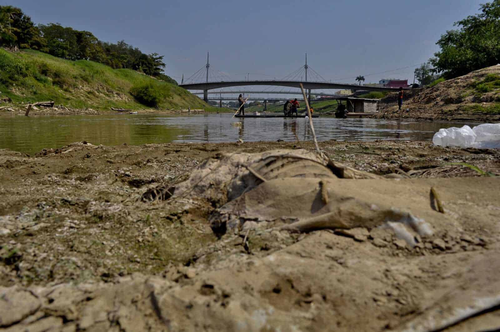 ‘Já estamos vivendo as mudanças climáticas de verdade’, alerta pesquisador da Ufac