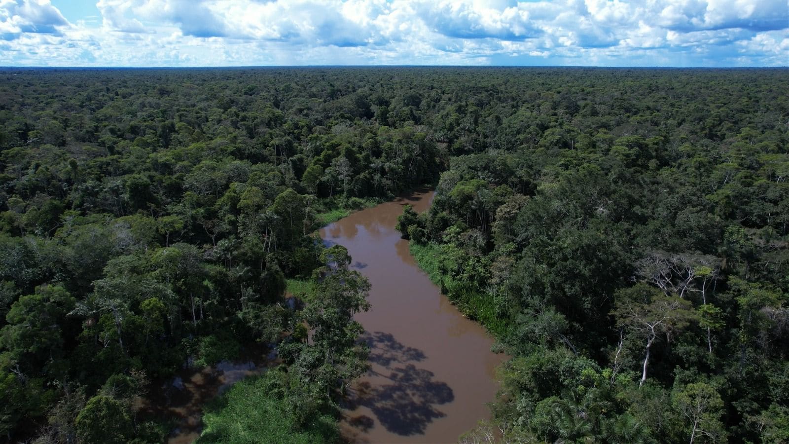 Comitiva acreana participa da 29ª Conferência das Nações Unidas sobre Mudanças Climáticas, no Azerbaijão