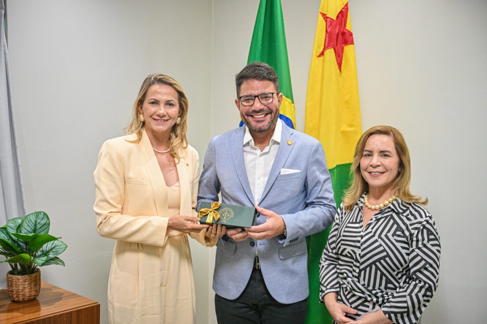 Governador recebe defensora pública-geral do Estado e reforça apoio à instituição que garante o acesso à cidadania