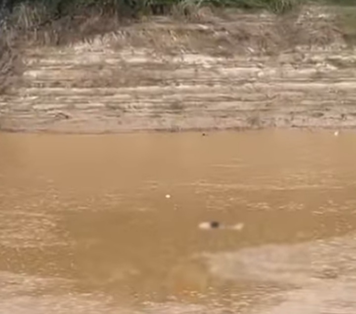 Corpo é visto boiando no Rio Acre e pode ser de homem jogado da Ponte Metálica após agressão
