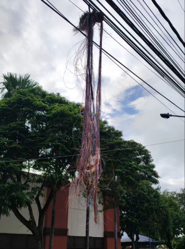 Dependentes químicos seguem gerando prejuízo a empresários e operadoras de internet no Centro de Rio Branco