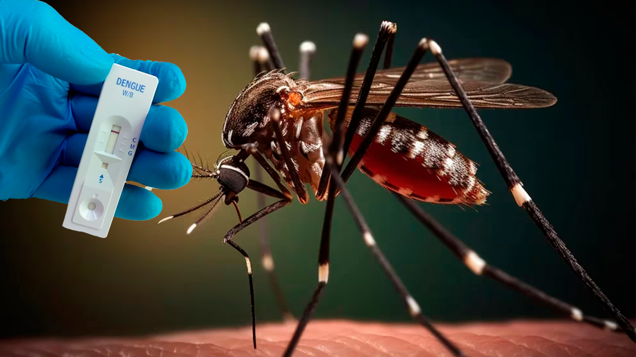 Acre registra mais de 8,7 mil casos prováveis de dengue e tem segundo maior índice de incidência do país