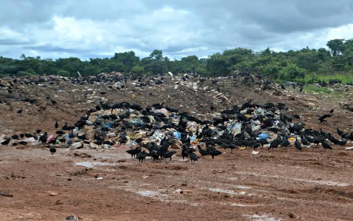 Acharam um cadáver em decomposição no lixão de Cruzeiro do Sul hoje pela manhã