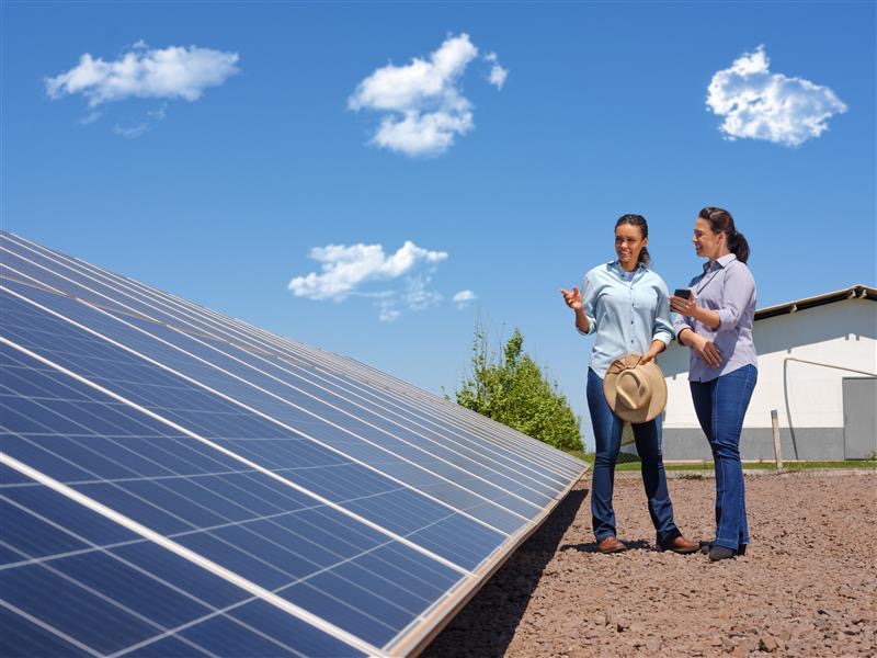 Sustentabilidade: Sicredi Biomas lidera em iniciativas e investe em Energia Solar no Acre e Mato Grosso