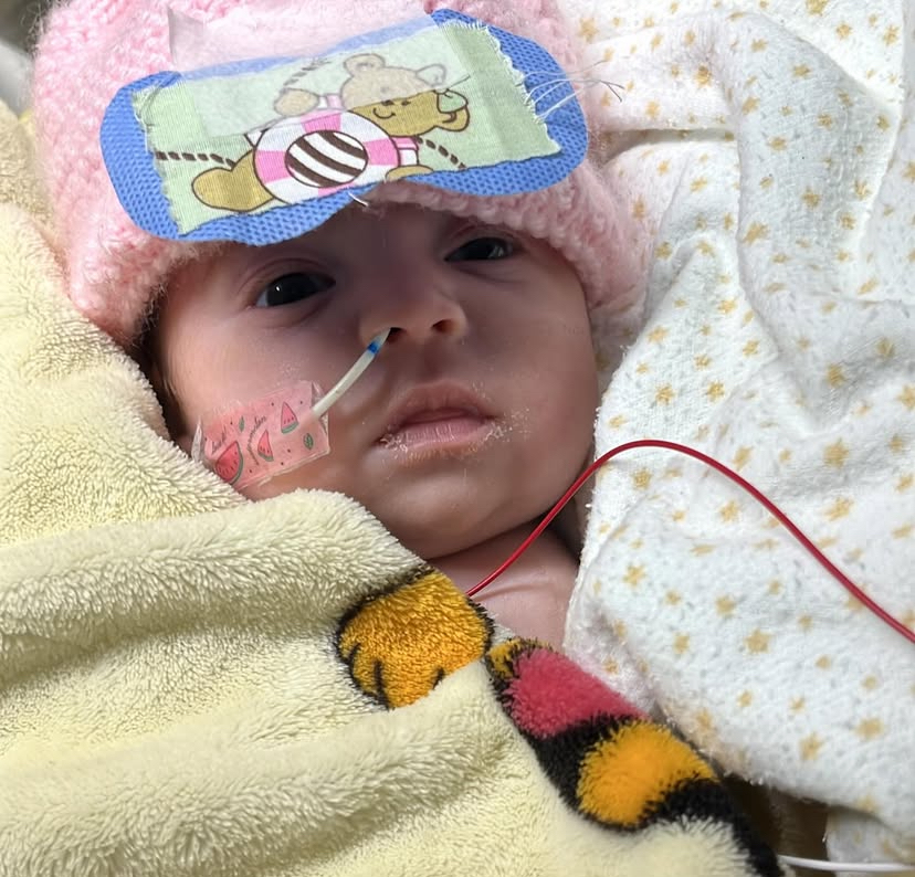 Bebê Aurora Maria apresenta melhora significativa e pais aguardam alta médica em até uma semana