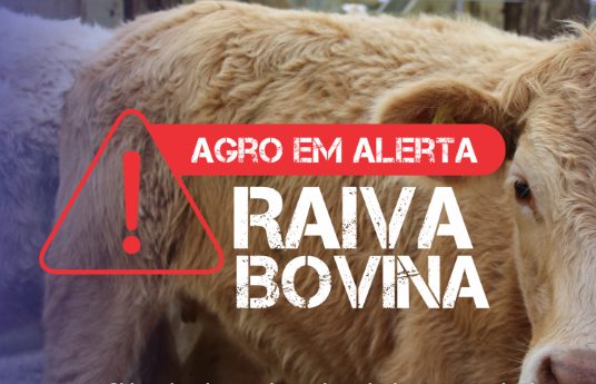Idaf confirma três casos de raiva bovina no interior do Acre e intensifica ações de prevenção