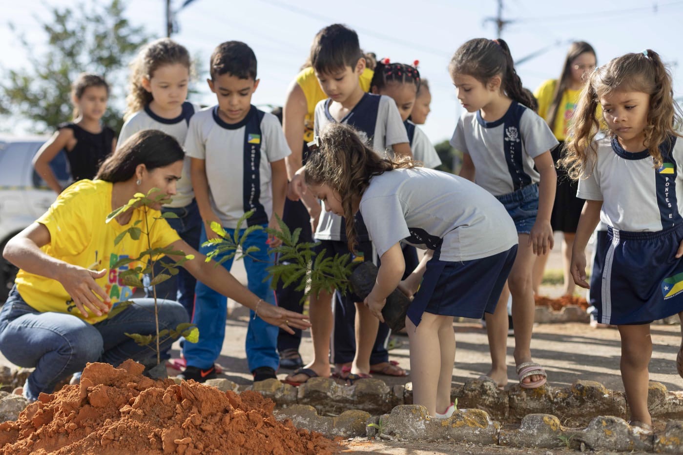 Sicredi Biomas destaca dedicação dos professores parceiros por meio de iniciativas do Programa A União Faz a Vida