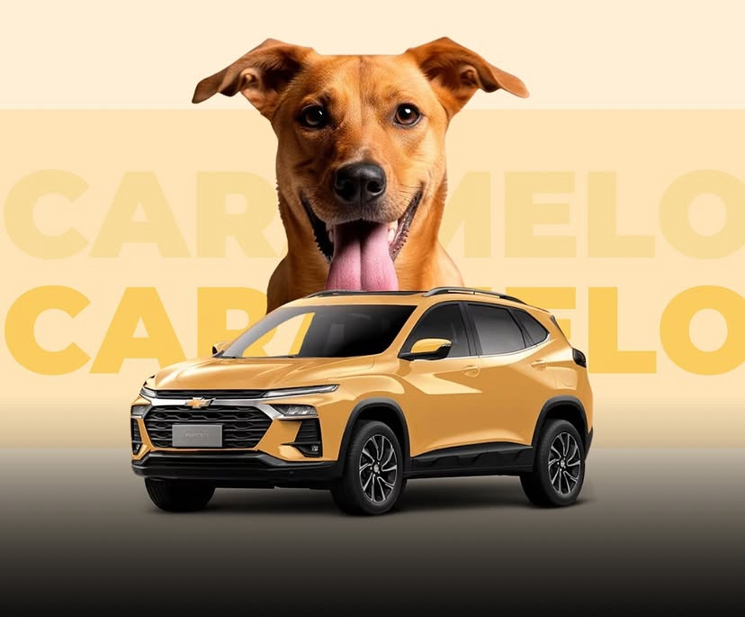 Chevrolet lança Tracker Caramelo e doa valor do leilão para ajudar animais abandonados