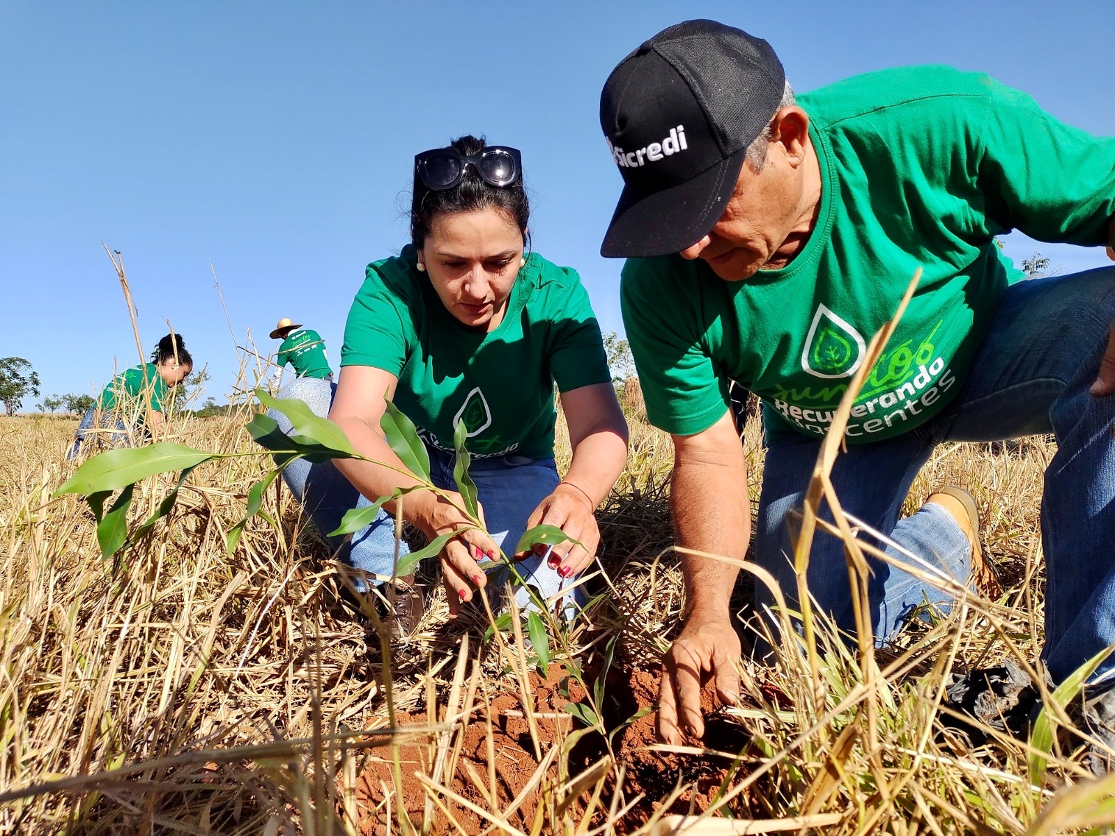 Cop 30: Sicredi apresenta ações para mulheres empreendedoras, transição energética no campo e outras iniciativas ligadas à sustentabilidade