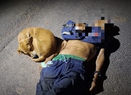 Acidente fatal na BR-317 ganha tom ainda mais comovente com a lealdade de um cachorro caramelo