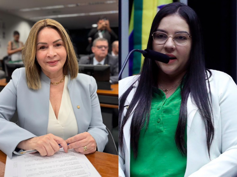 Socorro Neri e Meire Serafim votam contra projeto que pode reduzir pena de Bolsonaro