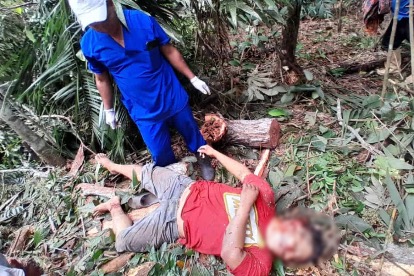 Trabalhador morre esmagado por árvore durante temporal na fronteira do Perú com o Acre