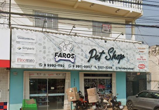 Justiça condena Pet Shop Faros por falha em banho que resultou em intoxicação de cães da raça Spitz
