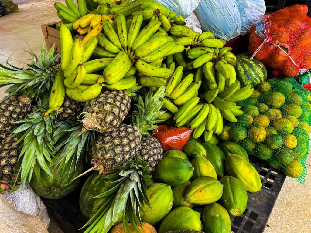 Secretaria de Agricultura prorroga prazo para credenciamento de entidades socioassistenciais no Programa de Aquisição de Alimentos