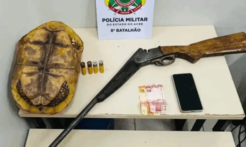 Polícia apreende espingarda e jabuti ao atender ocorrência de violência doméstica