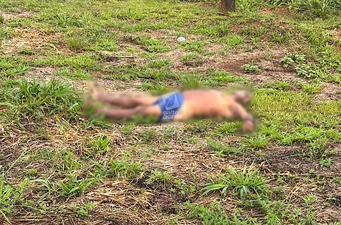 Homem é encontrado morto apenas de cueca às margens da BR-317