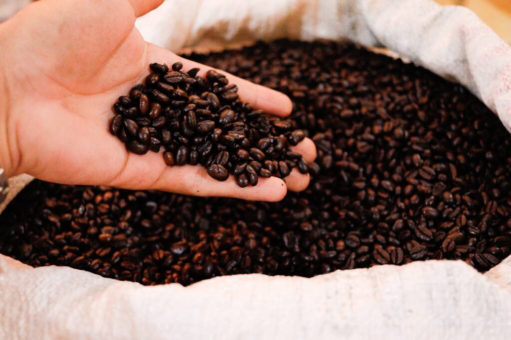 Governo do Acre sanciona lei que cria programa de compras para fortalecer indústria do café